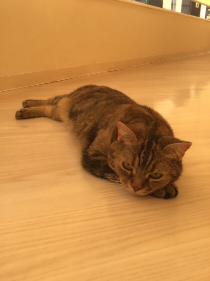 落ちているのは?