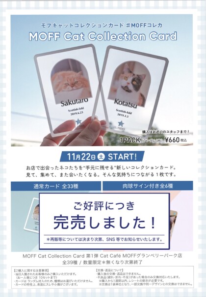 MOFF Cat Collecion Card完売のお知らせ📢