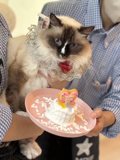 6月26日に開催したお誕生日会(2)の様子✨