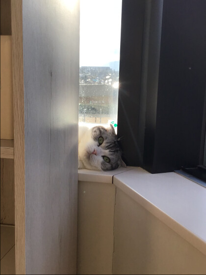 チラリ
