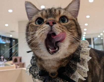 お誕生日会の様子をお届け❣️