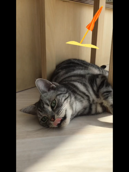 日陰も好きです👀