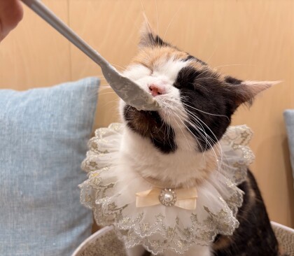 お誕生日会の様子🎉