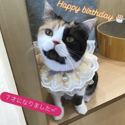 お誕生日おめでとう🥳