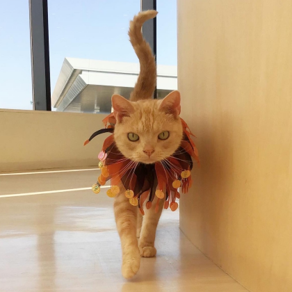 ハロウィンイベント開催中🎃