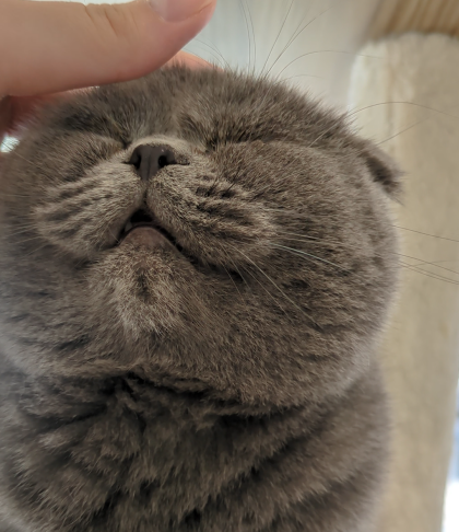 コウメちゃんをなでなで💓