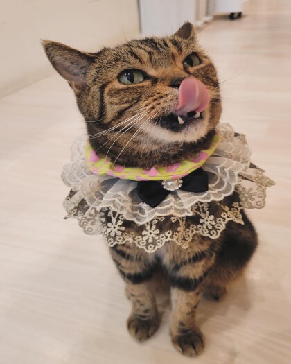 お誕生日おめでとう🥳