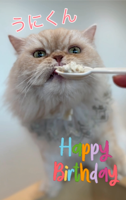 5月のお誕生日会🎂