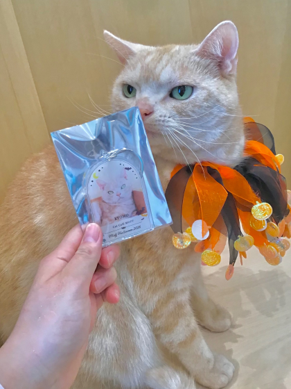 アクリルキーホルダーの販売開始🎃