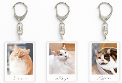 ネコ総選挙限定グッズ販売！