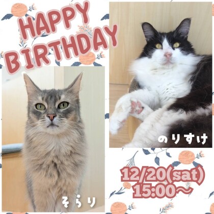 🎉お誕生日会のお知らせ✨