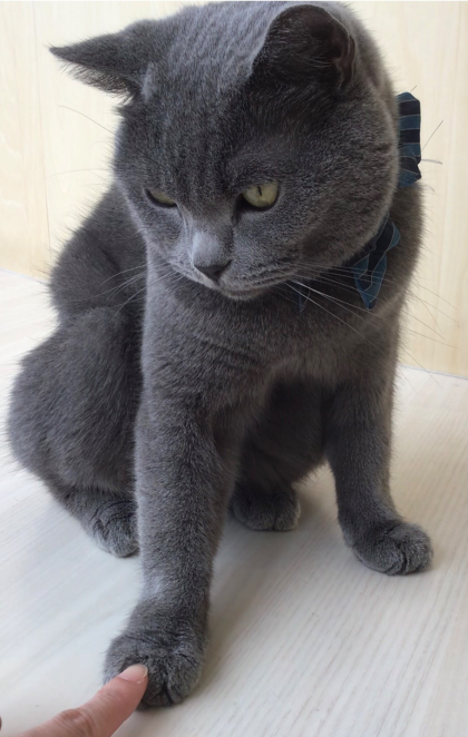 キリッとキメ顔😎