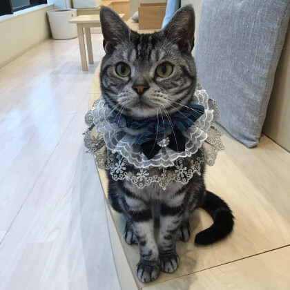 お誕生日おめでとう🎉