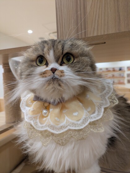 お誕生日会開催しました❣️