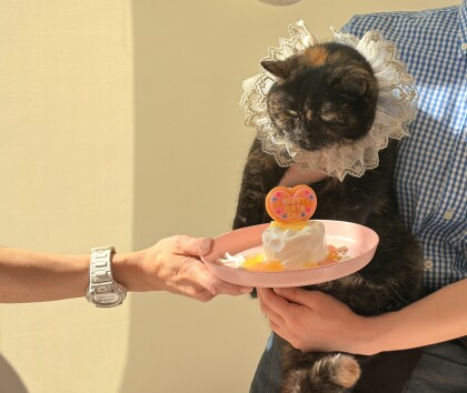 4月18日のお誕生日会の様子🎂