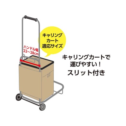 あると便利❣️ソフトクーラー✨
