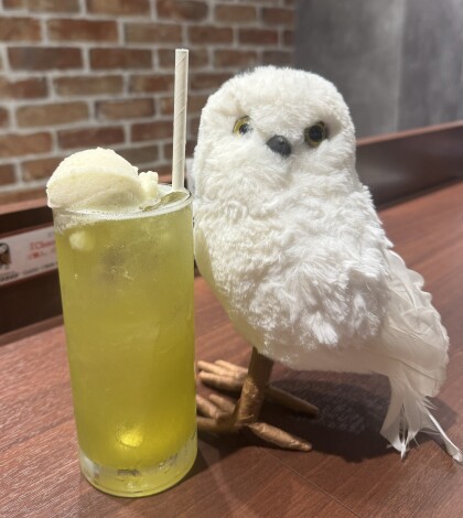宮前メロンを使用したクリームソーダが新登場🍈