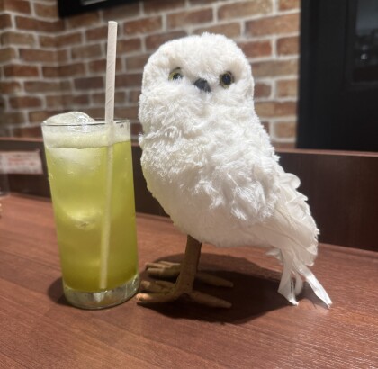 宮前メロンを使用したクリームソーダが新登場🍈
