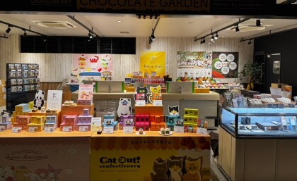 模様替えしてます！✨