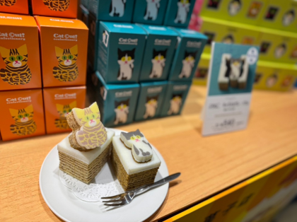 今日は何の日？😽