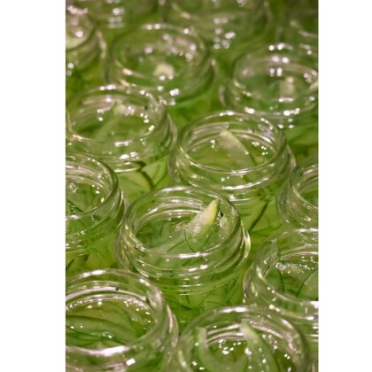 【糸おやつのおみせ】のジャムをご紹介します🍓🍋🍊