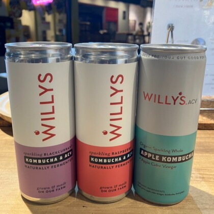 【Willy's ACV(ウィリーズ)】 コンブチャドリンク✨