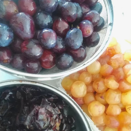 【糸おやつのおみせ】ジャム🍓🍋🍊のご紹介✨