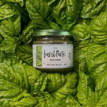 【BASIL HOUSE（バジルハウス）】ホーリーバジルティーとバジルペースト🌿