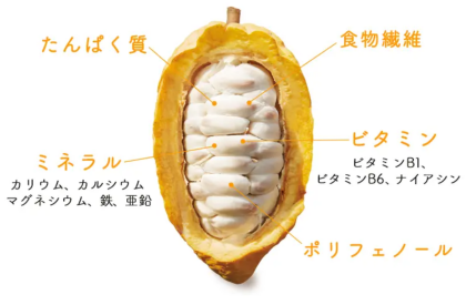カカオフルーツジュース登場…？！🥤🍫 カカオフルーツはどんなフルーツ？！🥭