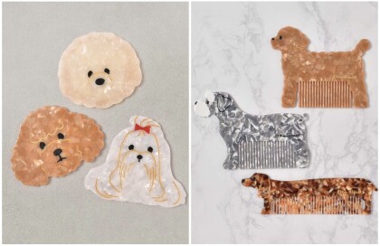 ＊大人気いぬFESTA②＊