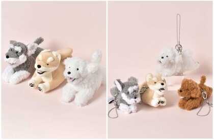 ＊大人気いぬFESTA②＊