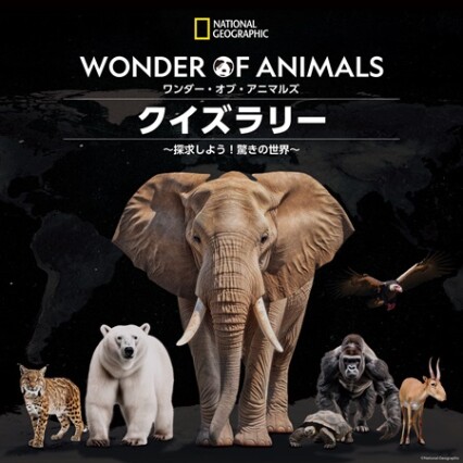 イッツコム スポット】ナショナル ジオグラフィック WONDER OF